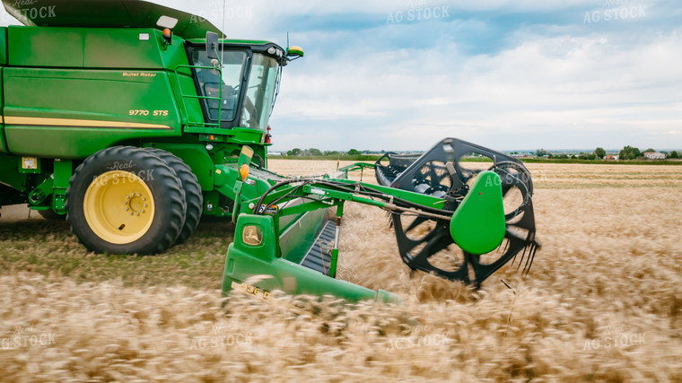 Wheat Harvest 56693
