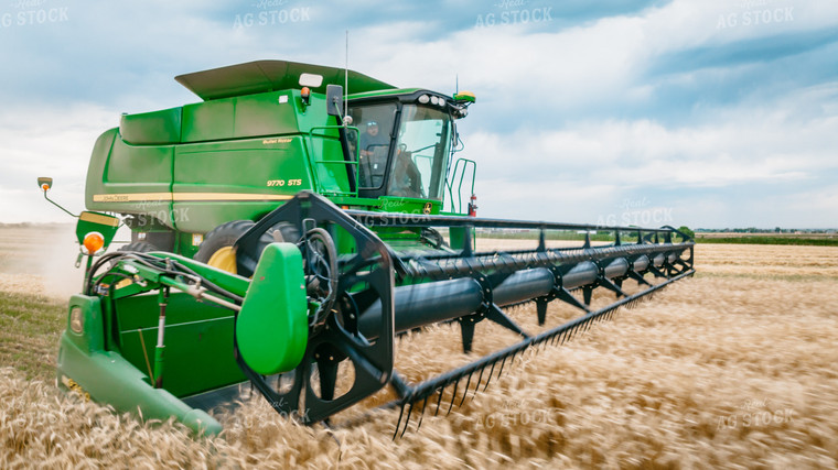 Wheat Harvest 56694