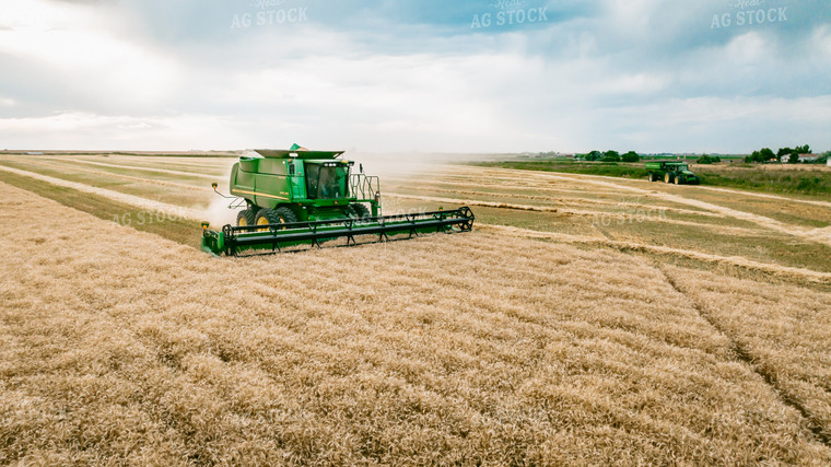 Wheat Harvest 56696