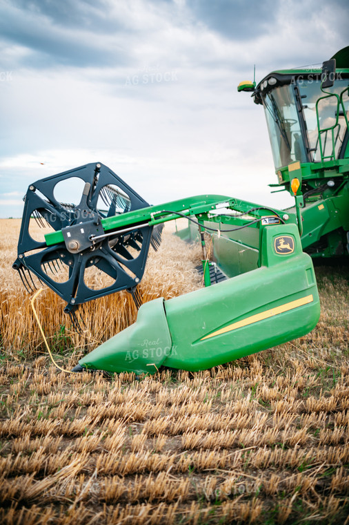 Wheat Harvest 56708