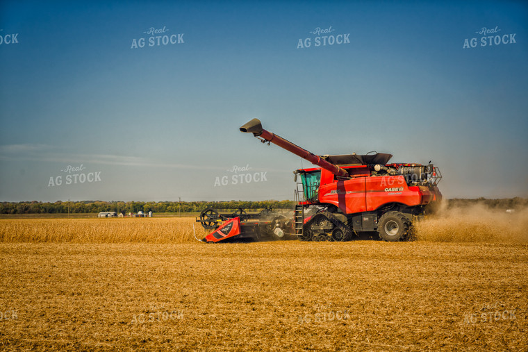 Soybean Harvest 153009