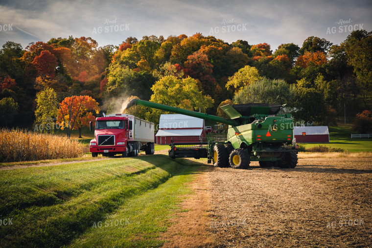 Soybean Harvest 153025