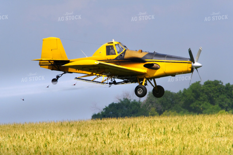 Crop Duster 154010