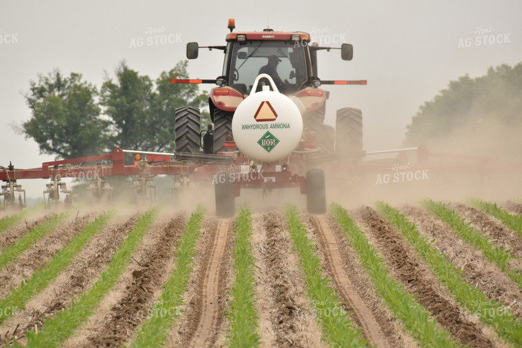 Applying Anhydrous Ammonia 84194