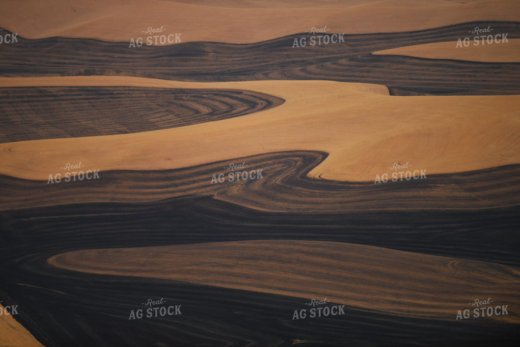 Rural Countryside with Tilled Fields 129044