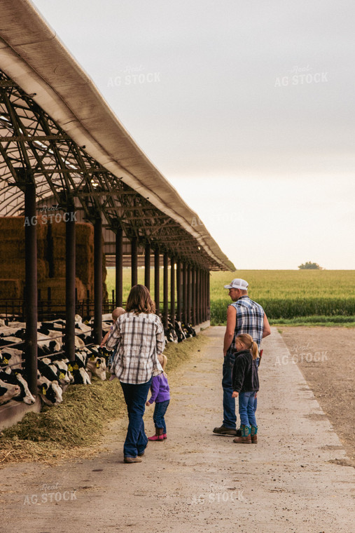 Farm Family Walking to Open Air Cattle Barn 67380