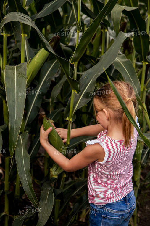 Farm Kid Picking Corn 67362