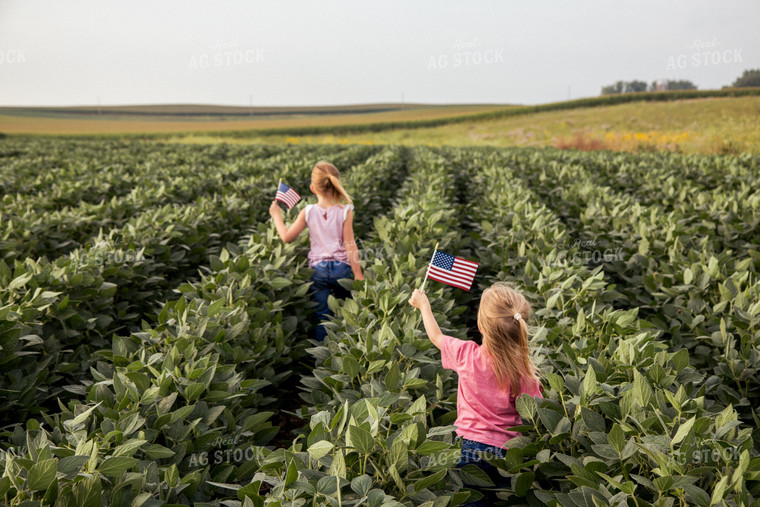 Farm Kids with American Flags in Soybean Field 67368