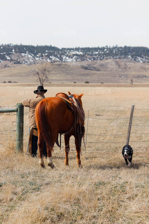 Rancher Closing Gate 63075