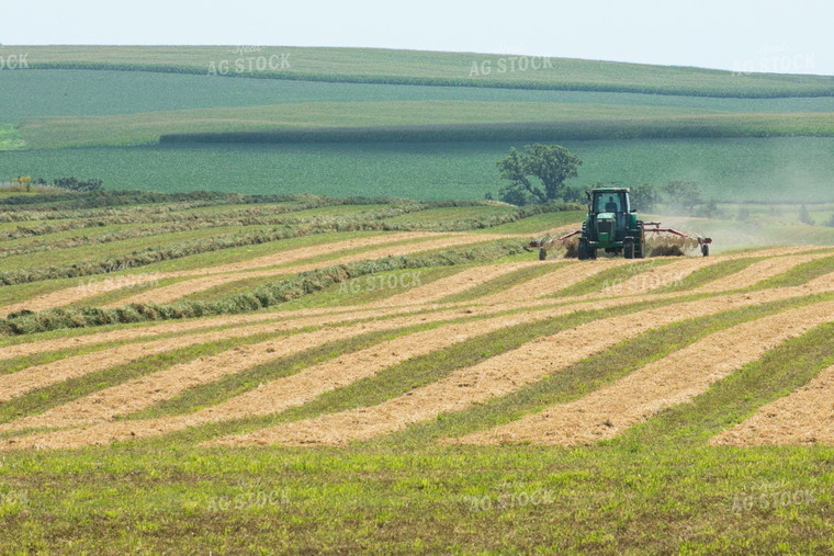 Raking Hay 145027