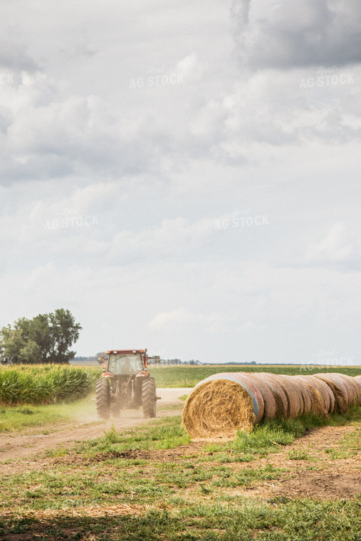 Tractor Driving by Hay Bales 67401