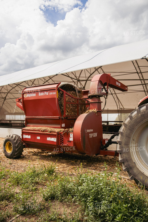 Feeding Silage to Cattle from Round Bale Processor 67408