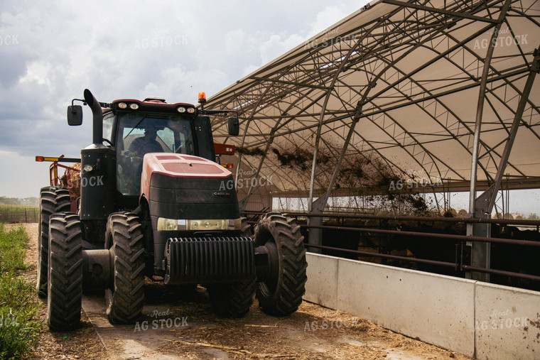 Feeding Silage to Cattle from Round Bale Processor 67410