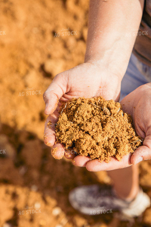 Farmer Handling Feed Ration 67447