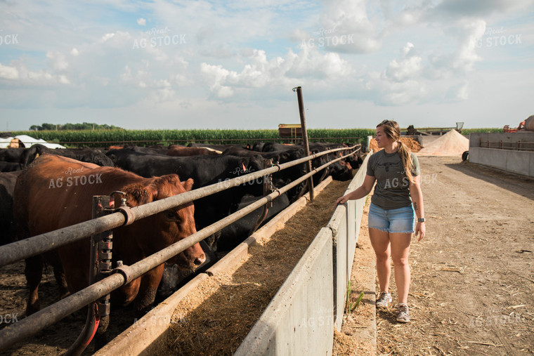 Farmer Walking Along Cattle Pen 67450