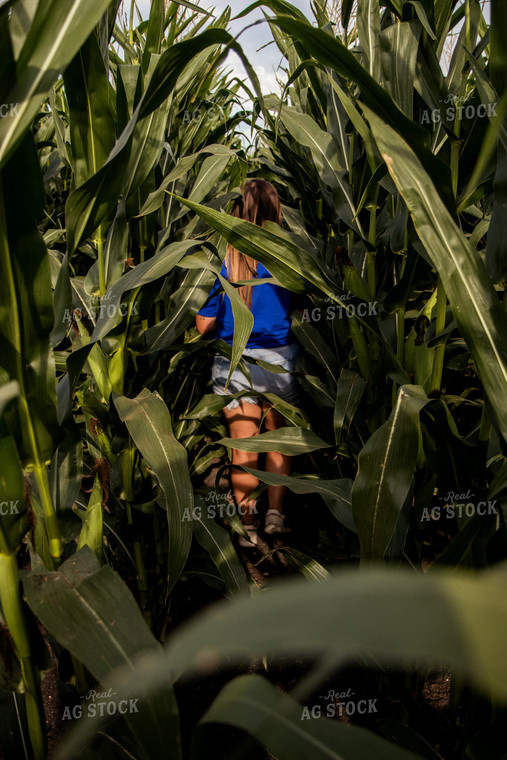 Farmer in Corn Field 67459