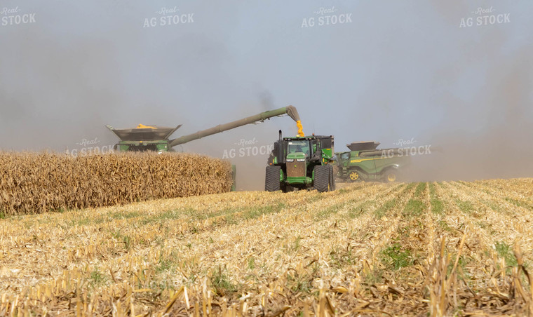 Rice Harvest 79376