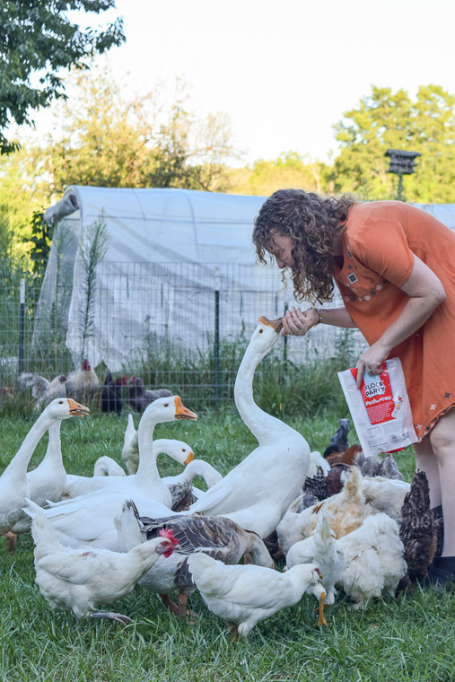 Farmer with Geese 106013