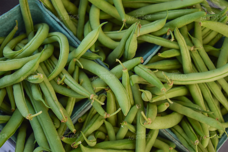 Green Beans 106018