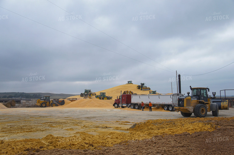 Flat Grain Storage 156041