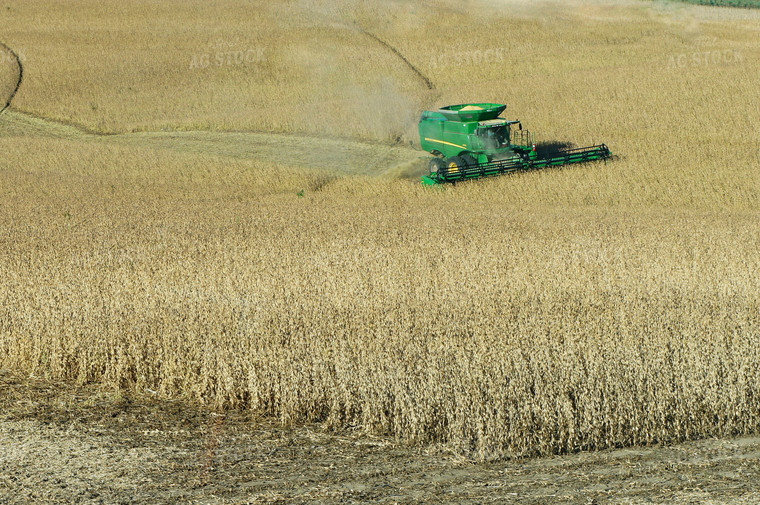 Soybean Harvest 156050