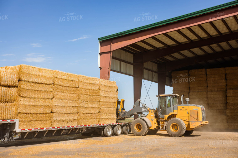 Loading Straw Bales 152324