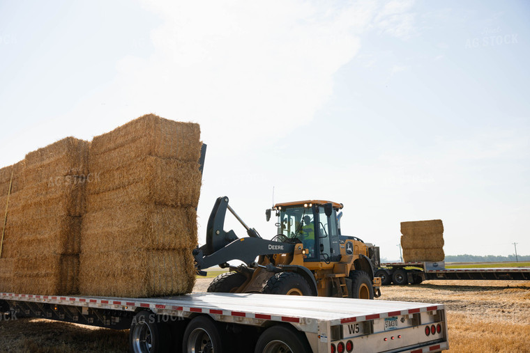 Loading Straw Bales 152344