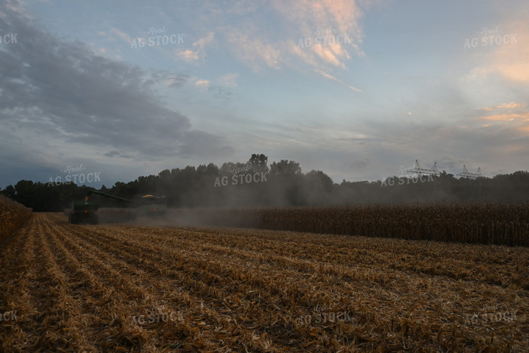Corn Harvest 149022