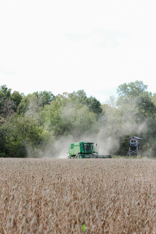 Soybean Harvest 159001