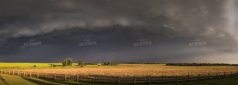 Storm Over Barley Field 138081