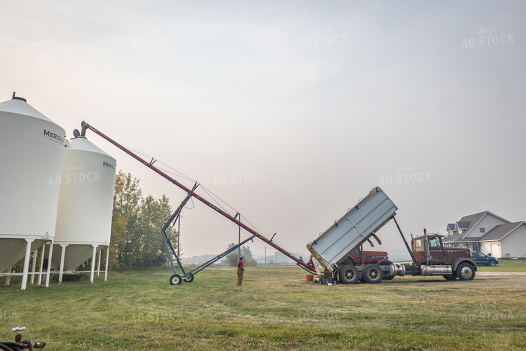Grain Storage 138100