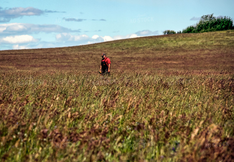 Farmer in Canola Field 138104