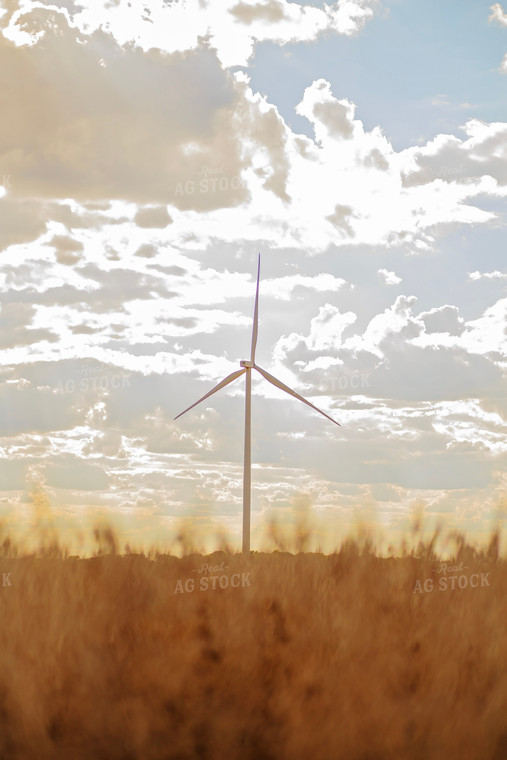 Wind Turbines 93217