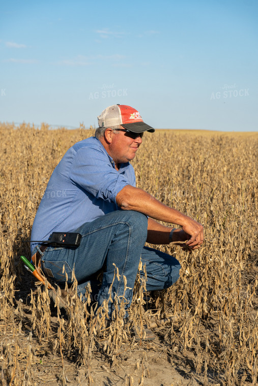 Farmer in Hail Damaged Soybean Field 65081