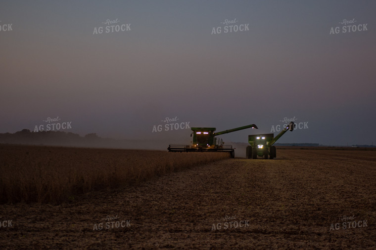 Soybean Harvest 129079