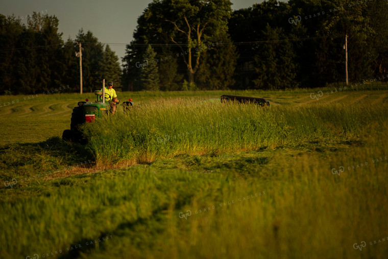 Cutting Hay 4947