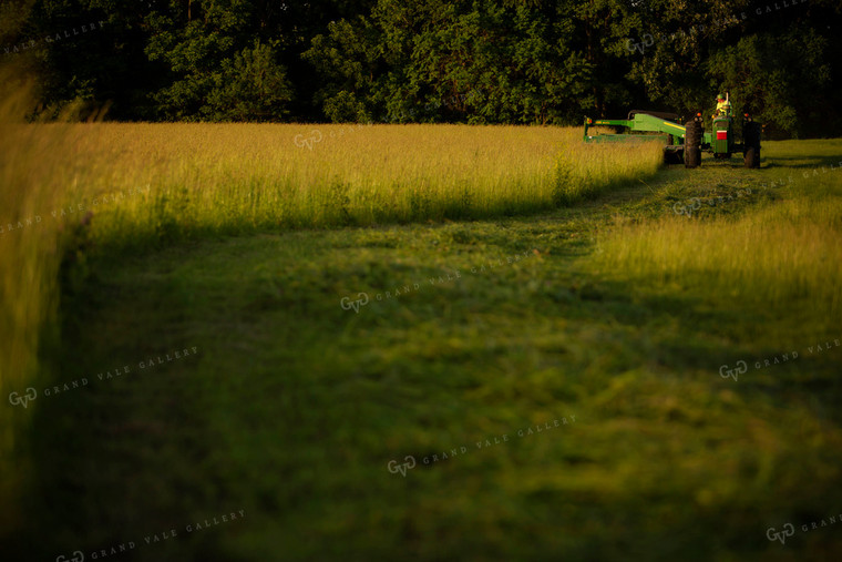 Cutting Hay 4951