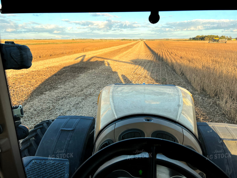 Soybean Harvest View from the Cab 141060