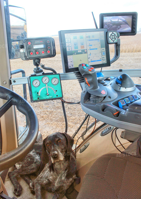 Farm Dog in Tractor 141063