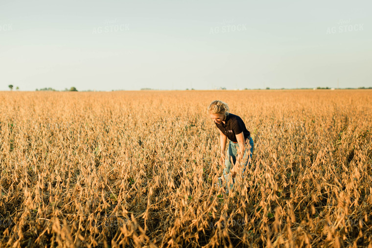 Female Agronomist Checking Beans 8302