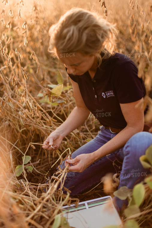 Female Agronomist Checking Beans 8317