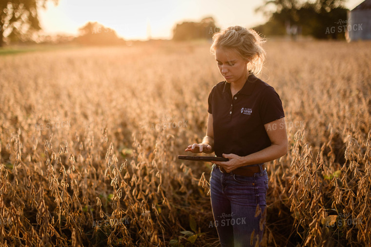 Female Agronomist on Tablet in Field 8321