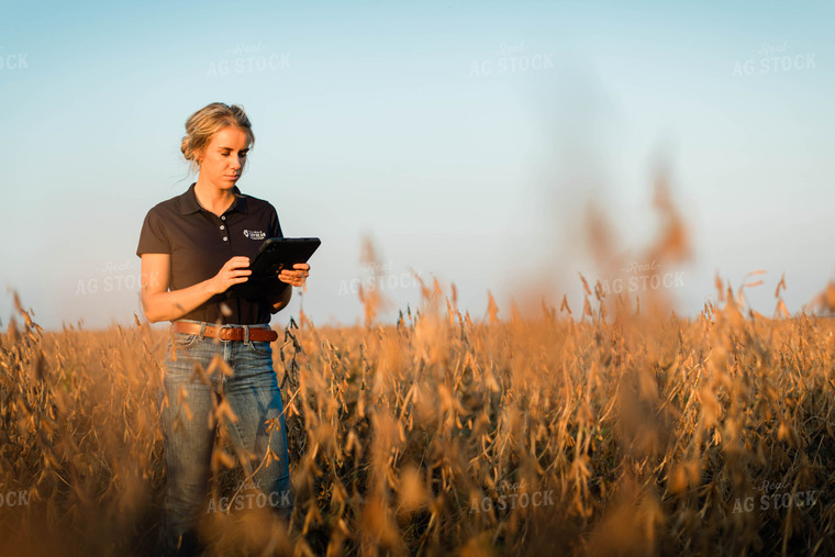 Female Agronomist on Tablet in Field 8324