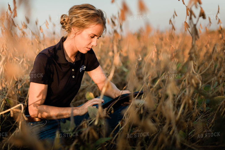 Female Agronomist on Tablet in Field 8334