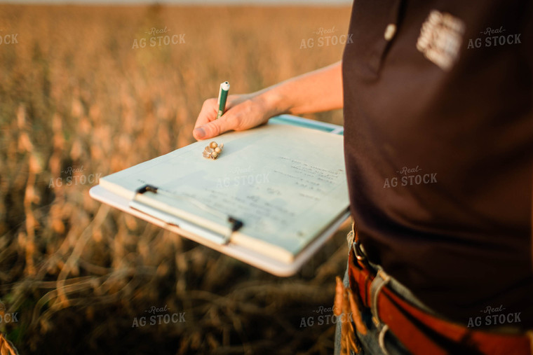 Female Agronomist Checking Beans 8339