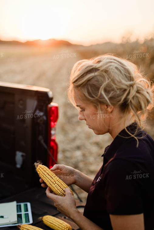 Female Agronomist Checking Corn 8346
