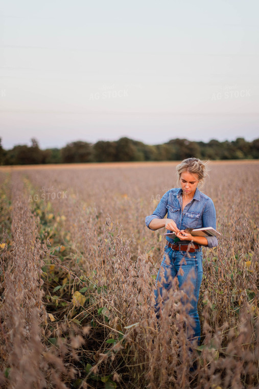 Female Agronomist Checking Beans 8355