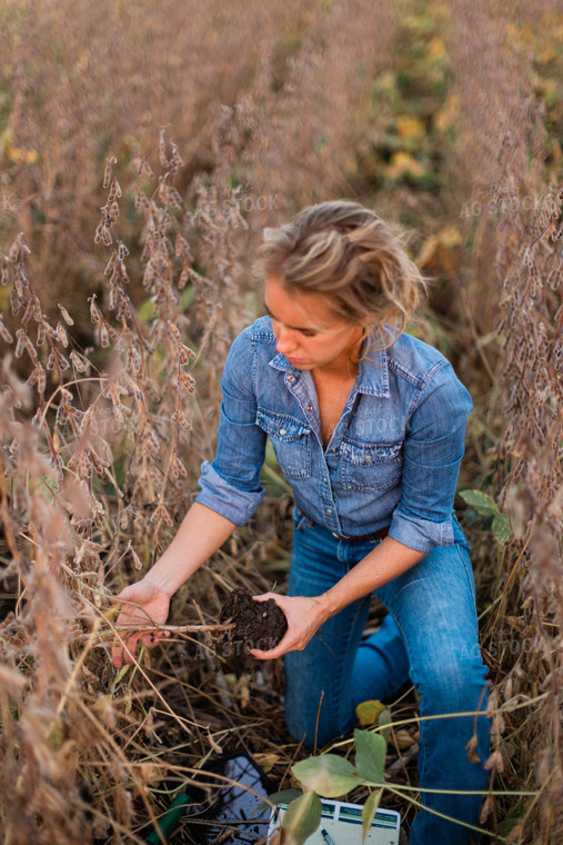 Female Agronomist Checking Beans 8361