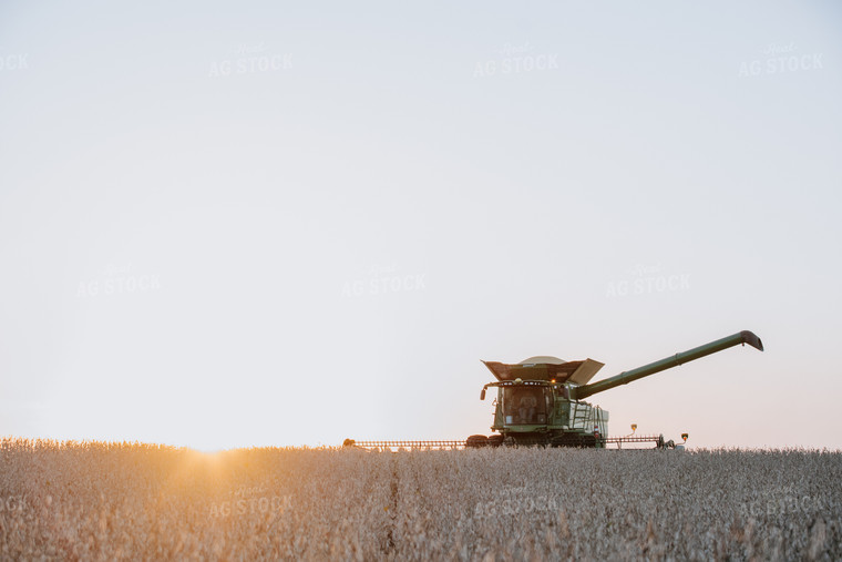 Soybean Harvest 77287