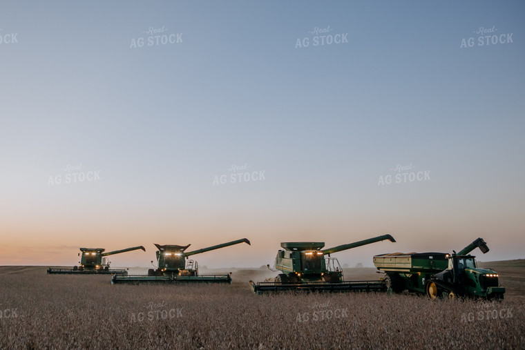 Soybean Harvest 77295